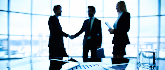 Limited Liability Company How Building an LLC Helps Your Business