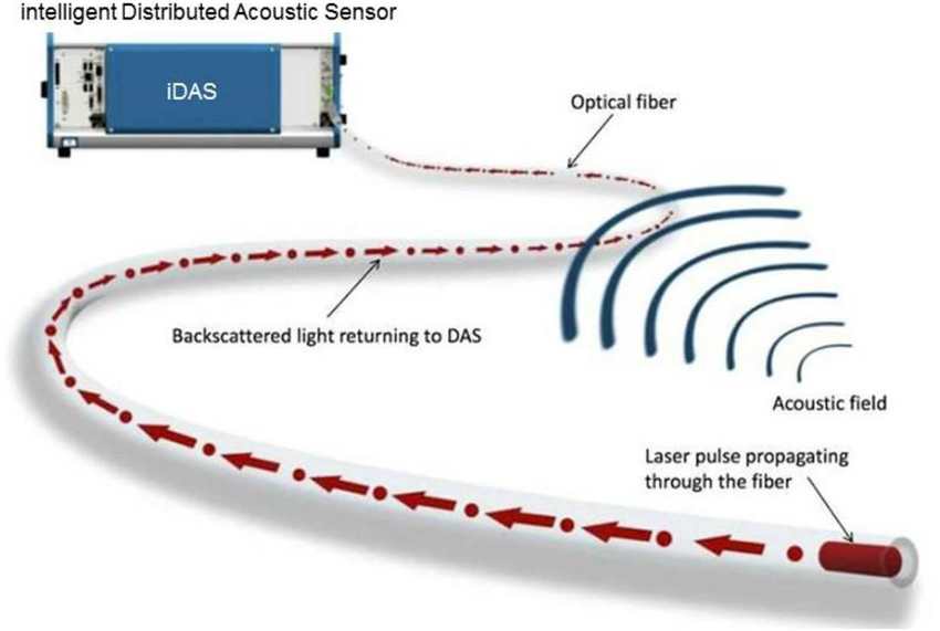 distributed acoustic sensing (DAS)