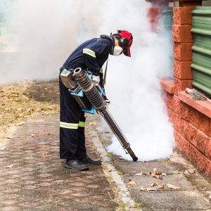 Removing Pests