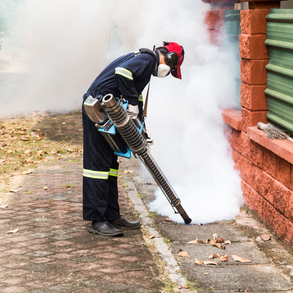 Removing Pests